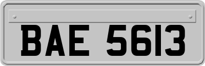 BAE5613