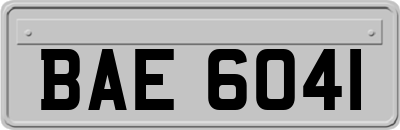 BAE6041
