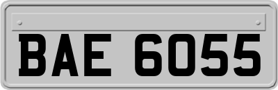 BAE6055