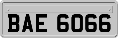 BAE6066