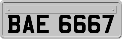 BAE6667
