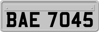 BAE7045