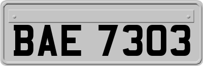 BAE7303