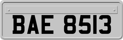 BAE8513