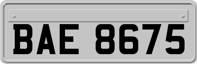 BAE8675