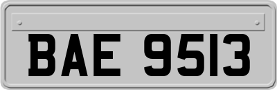 BAE9513
