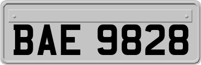 BAE9828
