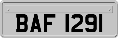 BAF1291