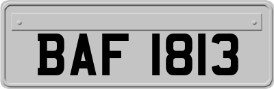 BAF1813