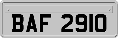 BAF2910