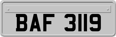 BAF3119