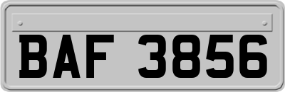 BAF3856