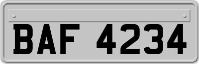 BAF4234
