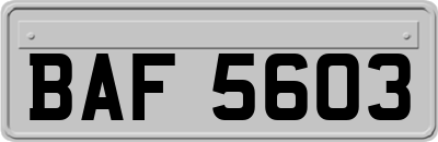 BAF5603