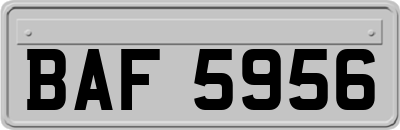 BAF5956