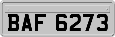 BAF6273