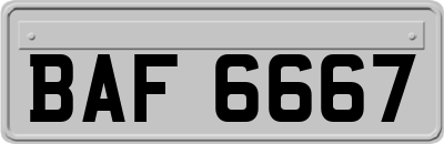 BAF6667