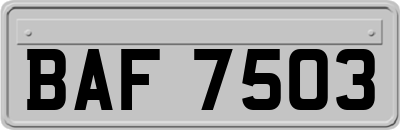 BAF7503