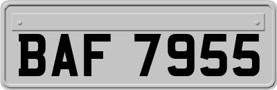 BAF7955