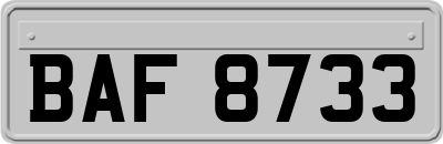 BAF8733
