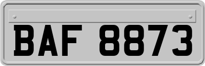 BAF8873