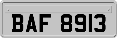 BAF8913