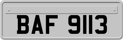 BAF9113
