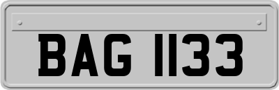 BAG1133