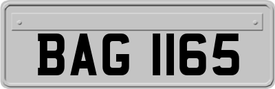 BAG1165