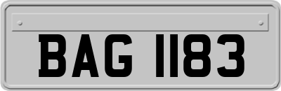 BAG1183