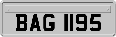 BAG1195