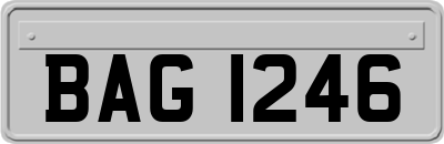 BAG1246