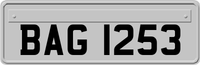 BAG1253
