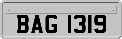 BAG1319