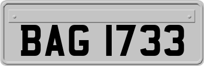 BAG1733
