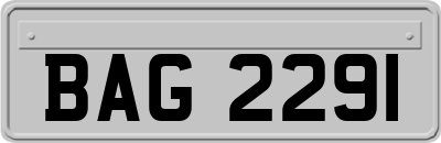 BAG2291