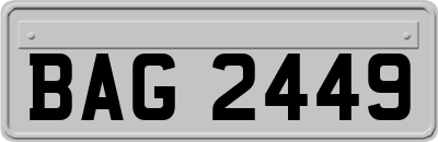 BAG2449