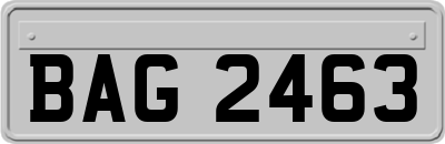BAG2463