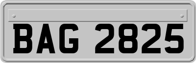 BAG2825
