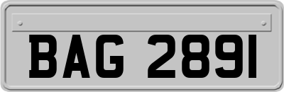 BAG2891