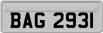 BAG2931