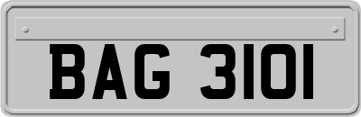 BAG3101