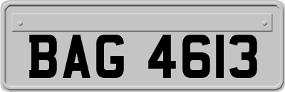 BAG4613