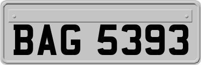 BAG5393