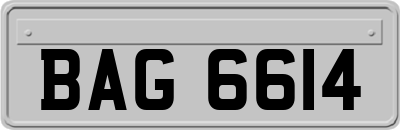 BAG6614