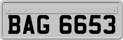 BAG6653