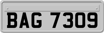 BAG7309