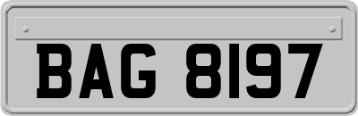 BAG8197