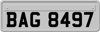 BAG8497
