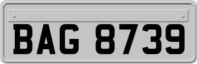 BAG8739
